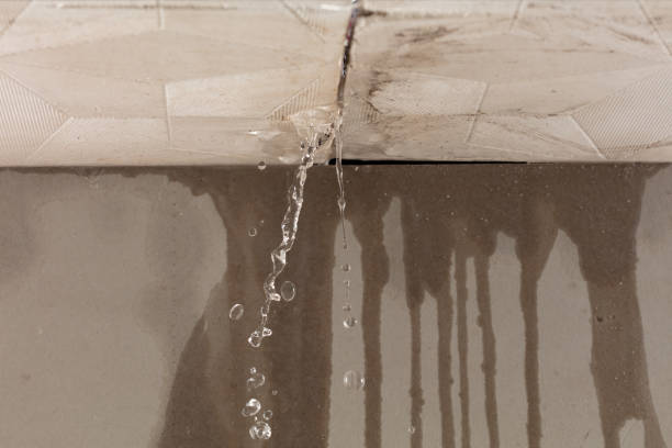 Professional Burst Pipe Cleanup technician working in East Palestine, OH